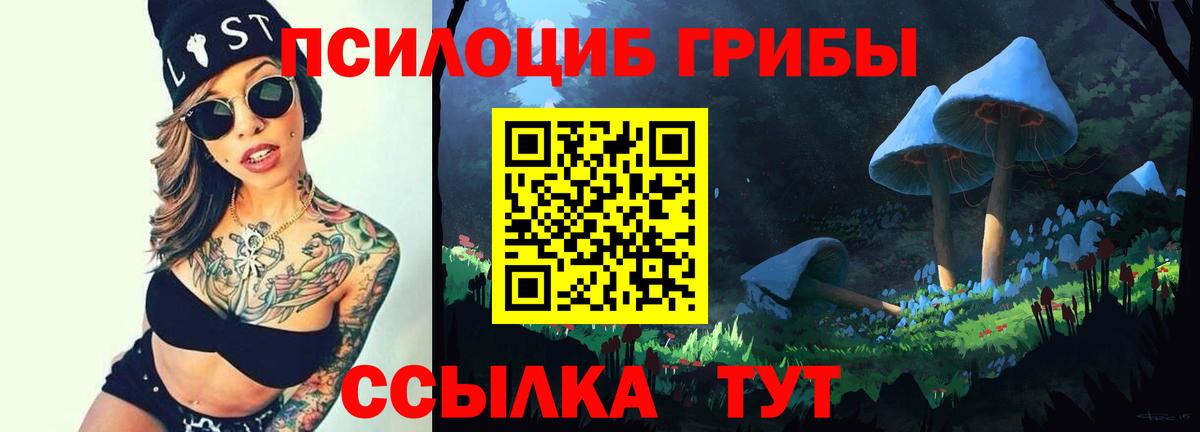 Галлюциногенные грибы мицелий Менделеевск